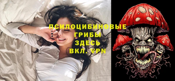 дурь Балахна