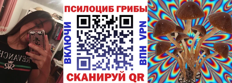 Псилоцибиновые грибы Psilocybine cubensis Харабали